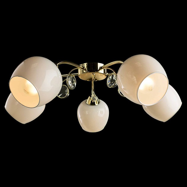 Потолочная люстра Arte Lamp Millo A9549PL-5GO Фото № 4