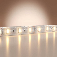 Светодиодная лента Maytoni Led Strip 201174 1