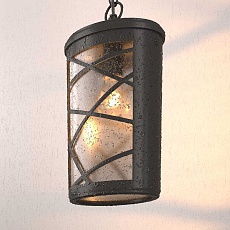 Уличный подвесной cветильник Elektrostandard Premier H GL 1017H a039857 3