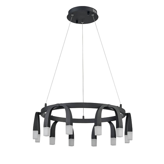 Подвесной светильник Vele Luce Negro VL7102P12 Фото № 1