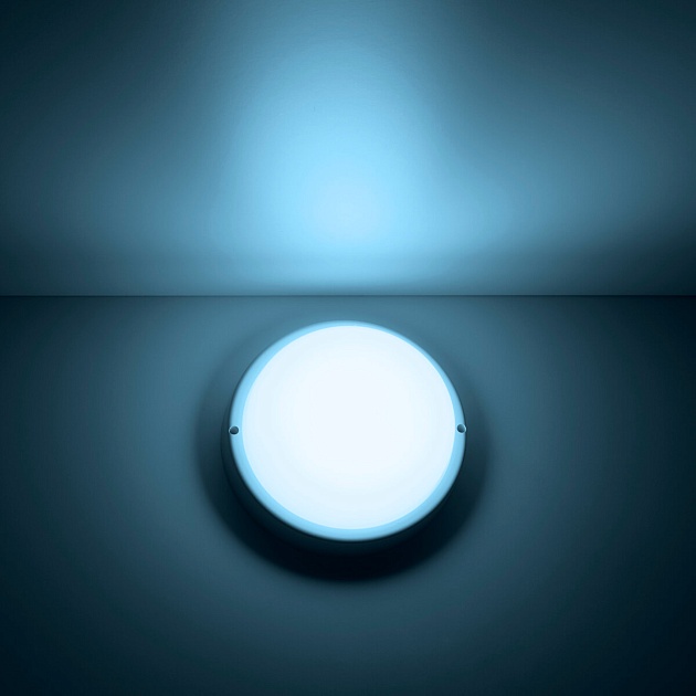 Потолочный светодиодный светильник Gauss Сауна 126411312 фото 7
