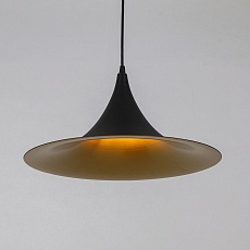Подвесной светильник Arte Lamp Carmel A7080SP-1BK 2