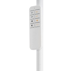 Торшер Citilux Click CL810010 2