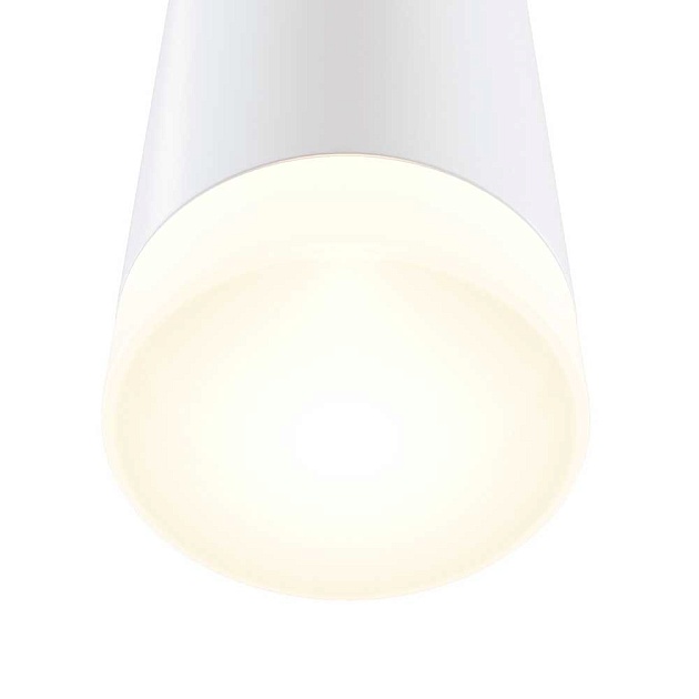 Настенный светильник Maytoni Dafne C027WL-L10W фото 6