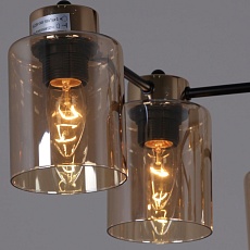 Потолочная люстра Reluce 01606-0.3-06 BK+FGD 1