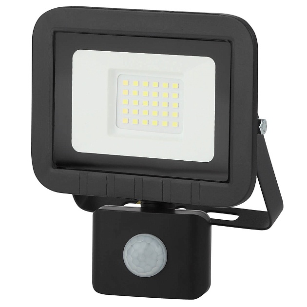 Прожектор ЭРА 30W LPR-041-2-65K-030 Б0043586 Фото № 1