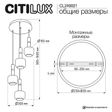 Подвесной светильник Citilux Lass CL249021 1