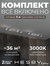 Встраиваемая однофазная трековая система Hesby Lighting Skylite №3 со светильниками HSBL_kompl_S003_VI3W3K