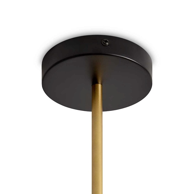 Потолочный светильник Freya FR2051CL-05BBS изображение 6 Потолочный светильник Freya FR2051CL-05BBS Фото № 6