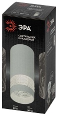 Настенно-потолочный светильник ЭРА OL41 WH/WH Б0058486 4