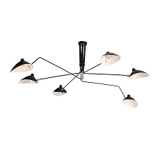 Потолочная люстра ST Luce Spruzzo SL305.402.06 2