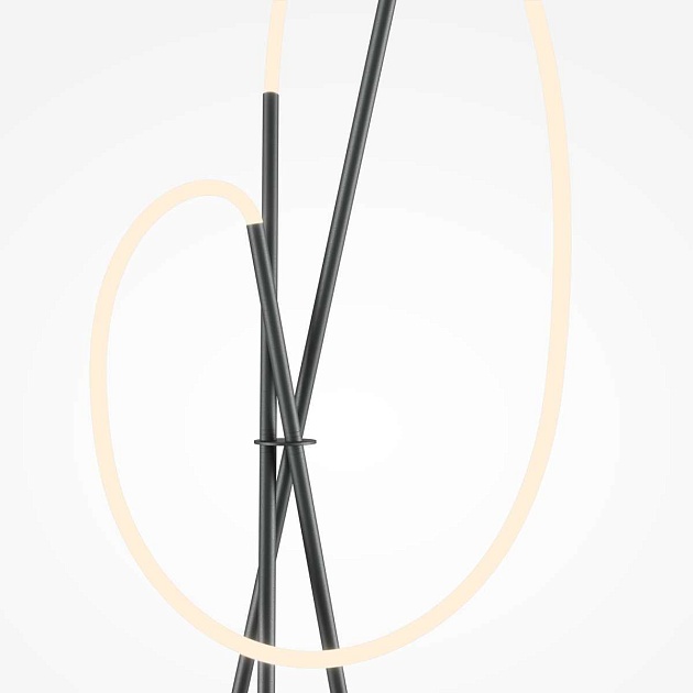 Напольный светильник (торшер) Maytoni MOD369FL-L36B3K Фото № 8
