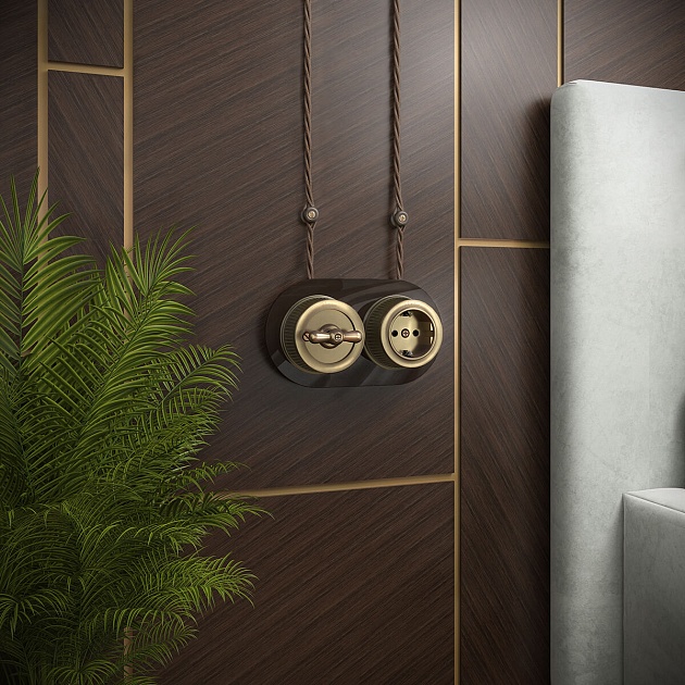 Розетка с заземлением Werkel Ретро бронзовый W5771012 4690389166549 Фото № 4