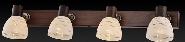 Спот Toplight Shayla TL3730Y-04BB Фото № 3