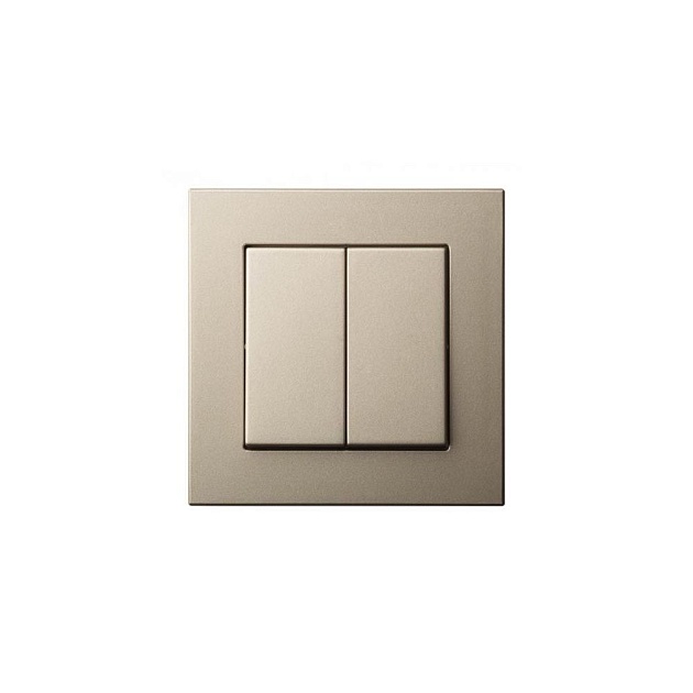 Выключатель двухклавишный Liregus Epsilon шампань 28-301 изображение 1 Выключатель двухклавишный Liregus Epsilon шампань 28-301 Фото № 1