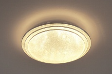 Потолочный светодиодный светильник Escada 10268/S LED 4