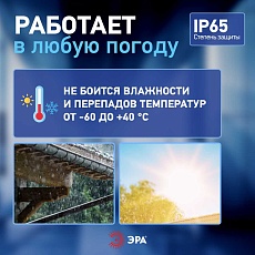 Прожектор светодиодный уличный ЭРА PRO LPR-062-0-65K-100 Б0064701 4