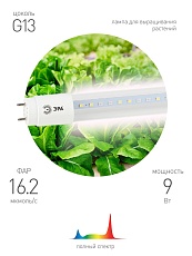 Лампа светодиодная для растений ЭРА G13 9W 1200K прозрачная Fito-9W-Ra90-Т8-G13-NL Б0042988 1