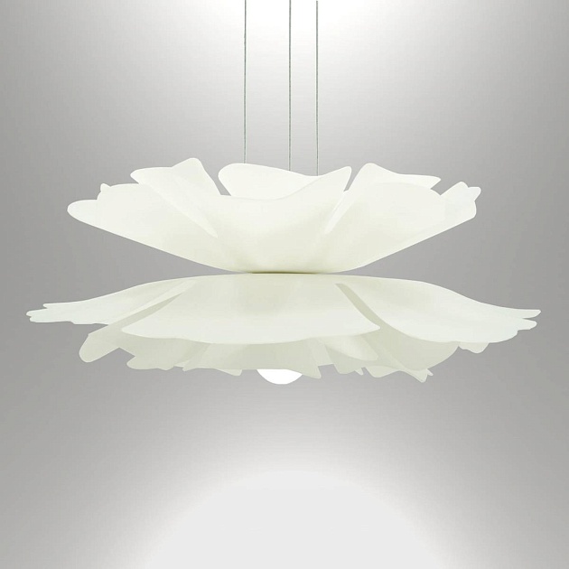 Подвесная люстра Lightera Chad LE116L-55W изображение 4 Подвесная люстра Lightera Chad LE116L-55W Фото № 4