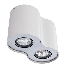 Потолочный светильник Arte Lamp Falcon A5633PL-2WH 2