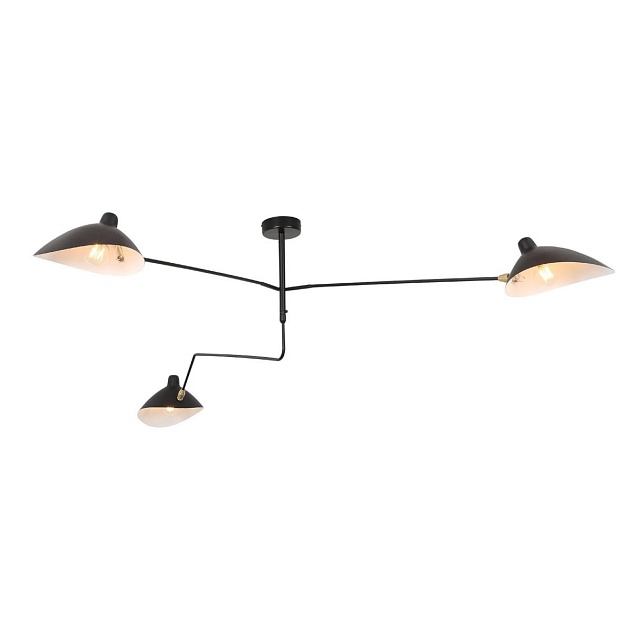 Потолочная люстра ST Luce Spruzzo SL305.402.03 Фото № 1