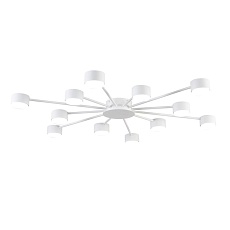 Люстра Lumion COMFI 8343/12C 2