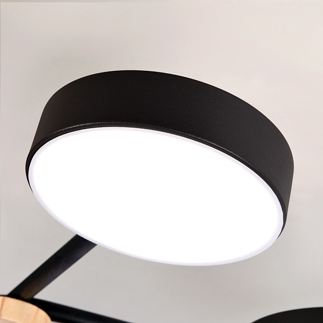 Потолочный светильник LED4U L3201-780 BK изображение 2 Потолочный светильник LED4U L3201-780 BK Фото № 2