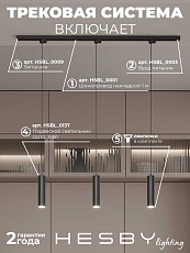 Накладная однофазная трековая система Hesby Lighting Skylite №12 со светильниками HSBL_kompl_S012_NI1B3K 5