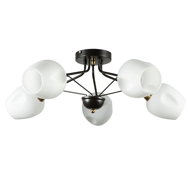 Потолочная люстра Arte Lamp Brighton A2706PL-5CK фото 