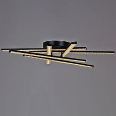 Потолочная светодиодная люстра Reluce 77138-0.3-06 4