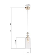 Подвесной светильник ST Luce Elegra SL1402.203.01 1