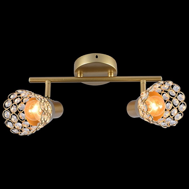 Спот Reluce 05954-0.8-02 GOLD Фото № 1