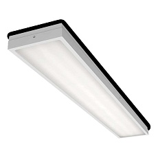 Потолочный светильник WOLTA STD ДПО13-54-101-5К