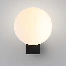 Настенный светильник Odeon Light NATURE 7124/1W 2