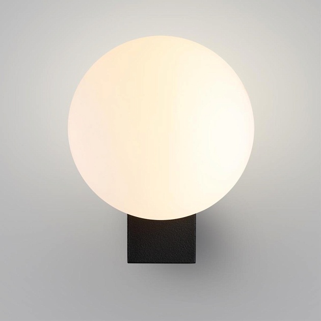 Настенный светильник Odeon Light NATURE 7124/1W изображение 3 Настенный светильник Odeon Light NATURE 7124/1W Фото № 3