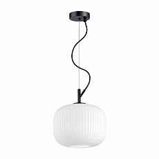 Подвесной светильник Odeon Light Pendant Roofi 4753/1 2