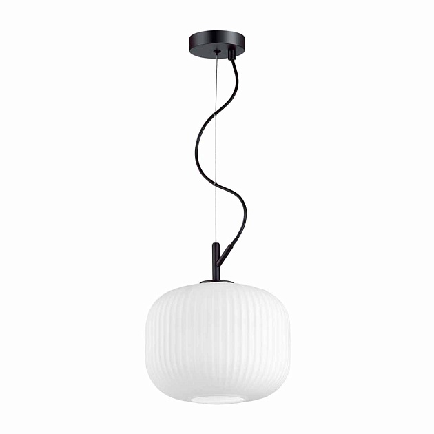 Подвесной светильник Odeon Light Pendant Roofi 4753/1 изображение 3 Подвесной светильник Odeon Light Pendant Roofi 4753/1 Фото № 3