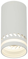 Настенно-потолочный светильник ЭРА OL50 WH Б0059802 5
