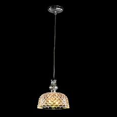 Подвесной светильник Arte Lamp Caraffa A4961SP-1CC 4