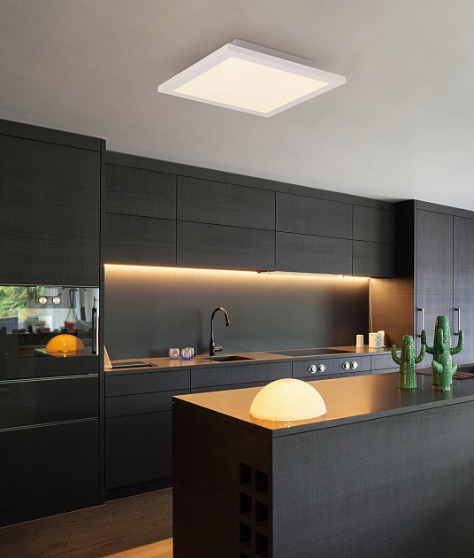 Потолочный светодиодный светильник Globo Rosi 41604D2F изображение 2 Потолочный светодиодный светильник Globo Rosi 41604D2F Фото № 2