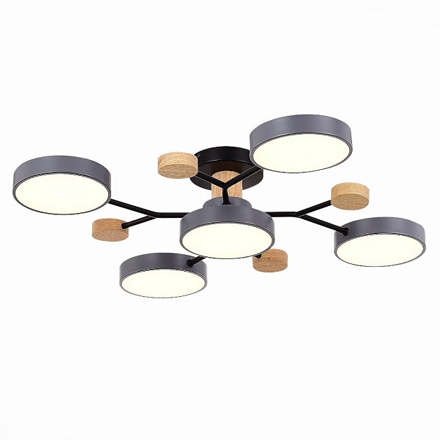 Потолочная светодиодная люстра Evoluce FAEMA SLE6006-702-05 изображение 1 Потолочная светодиодная люстра Evoluce FAEMA SLE6006-702-05 Фото № 1