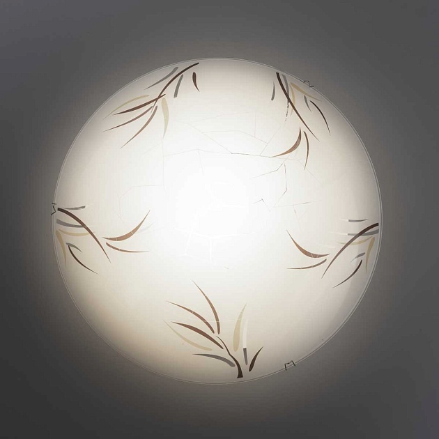 Настенный светильник Citilux Ива CL918009 Фото № 11