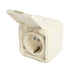 Розетка 2P+PE Stekker Брест с крышкой слоновая кость PST16-21-44 49058 4