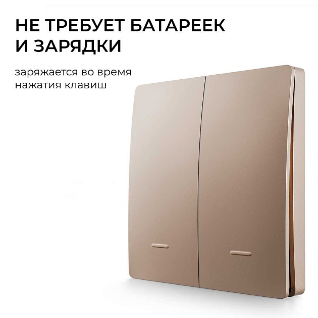 Выключатель кинетический двухклавишный Smart Apeyron 04-76 Фото № 8