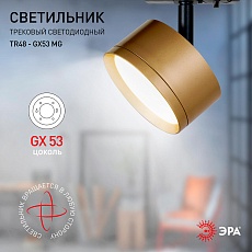 Трековый однофазный светильник ЭРА TR48 - GX53 MG Б0054160 4