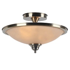 Потолочный светильник Arte Lamp Safari A6905PL-2AB 1