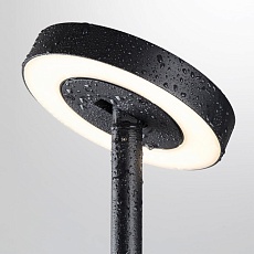 Ландшафтный светильник Odeon Light Disc Nature 7189/6GL 3