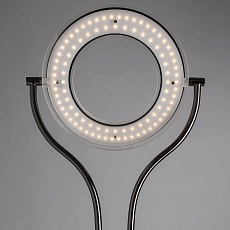 Торшер Arte Lamp Duetto Led A5904PN-2SS 3