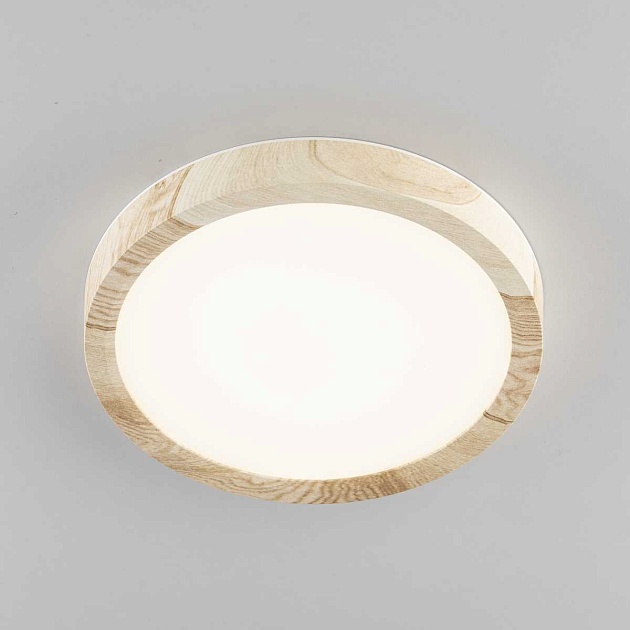 Светильник накладной Citilux Бейсик CL738122N Фото № 6