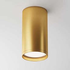 Потолочный светильник Maytoni Focus S C052CL-01MG 5